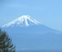 富士山