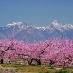 桃源郷がそこここに♪