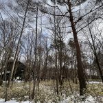 【土地　新築】清里の森　３００坪　土地（借地権）350万円　土地建物で3550万円プラン