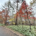 【売地】清里の森　３００坪　土地（借地権）500万円