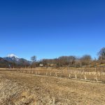 【売地】北杜市 須玉町若神子新町（穴山駅）住宅用地581.00m²（175.75坪）300万円