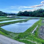 田んぼ　八ヶ岳