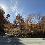 【売地】北杜市長坂町渋沢（長坂駅) 事業用地3,011.00m²（910.82坪）1800万円